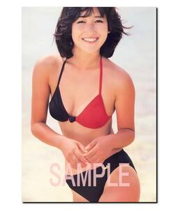 ◇◇　岡田有希子　Ａ３　ポスター　超光沢　大判　４２cm×３０.５cm ！　生 写真　◇461◇ ジュニア アイドル 等身大 風 Ｌ