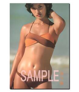 ◇◇　山口百恵　Ａ３　ポスター　超光沢　大判　４２cm×３０.５cm ！　生 写真　◇300◇ ジュニア アイドル 等身大 風 Ｌ