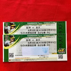 阪神タイガース ペアチケット 6月5日(水)阪神vs楽天戦 ライト外野席連番2枚(甲子園球場 )通路側