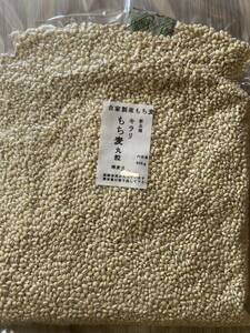 熊本県産　キラリもち麦丸粒
