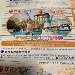 ★送料無料 東京サマーランド ご招待券 春秋限定 1Dayパス4枚 東京都競馬 株主優待 サマーランド ②の画像1