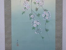 ★尾崎春秋 肉筆【掛軸『桜』紙箱入り】絹本　状態良好！　幅53×全長185.7cm　茶道具 4月 満月 彩色 日本画 春 夜桜_画像3