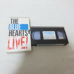R855　THE BLUE HEARTS LIVE!　1987.7.4　日比谷野外音楽堂　ブルーハーツライブ　VHS　ビデオテープ
