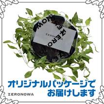 6本足 ZERONOWA 杖先 替えゴム 自立 交換用部品 滑り止め 転倒防止_画像7