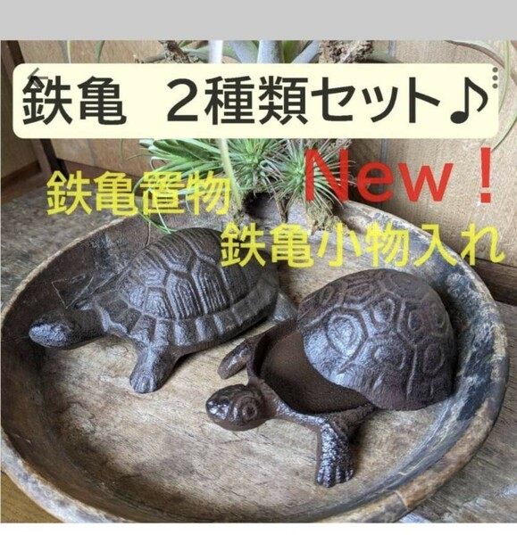 【鉄亀置物＆鉄亀小物入れ　お得な2種類セット♪】　かめ　縁起物