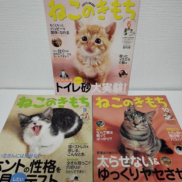 ねこのきもち　3冊セット　2005年6、9、10月号　まとめ売り