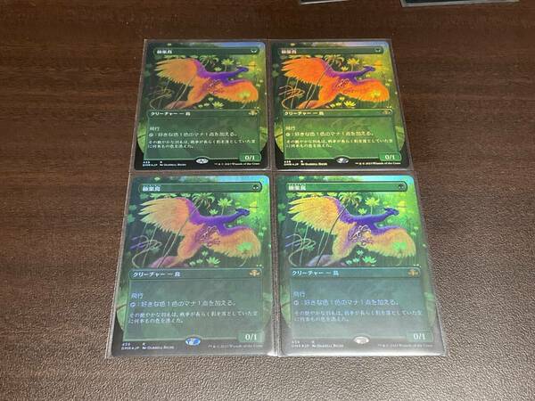 MTG foil 4枚セット 極楽鳥 日本語 ボーダーレス ドミナリア・リマスター DMR 