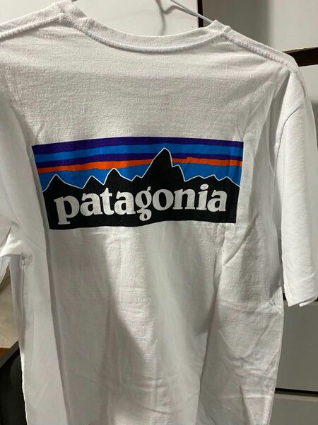 patagonia Tシャツ