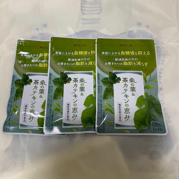 桑の葉 茶カテキン 1袋 120粒 国産お腹の脂肪を減らす 血糖値 内臓脂肪 サプリ