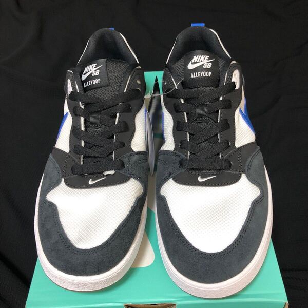 NIKE sb ナイキ alleyoop アリウープ 28 スケーター 送料無料