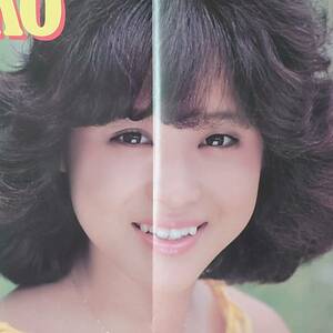 ★【当時物】 ピンナップ 松田聖子 近藤真彦 ひかる一平 浜田朱里 三田寛子 近代映画 昭和56年9月号 付録 アイドル 1981年 大型ポスター ★