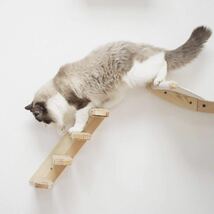 猫 ハンモック壁掛け クライミング 遊び 階段 4段 くつろぎ 睡眠 木製 右上がり 4_画像3