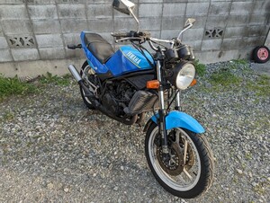 RZ250R