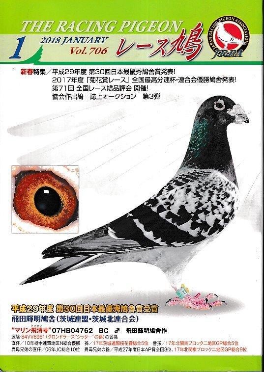 レース鳩 1968-1987 9冊セット（2025年最新】Yahoo!オークション