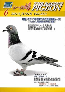 # free shipping #Y11# race dove #2013 year 6 month # special collection :2013 year Kanto three large wide region long distance race!#