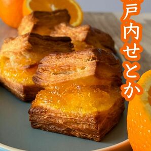 手作り瀬戸内せとかスコーンと定番スコーン焼菓子お菓子詰め合わせ