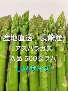 産直長崎産アスパラガスL.Mサイズ 500グラム