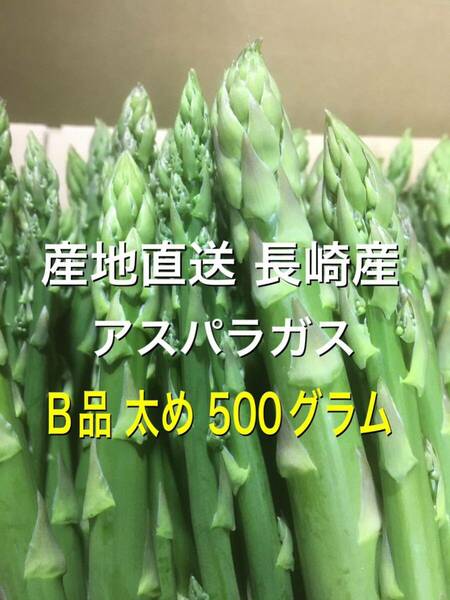 産直長崎産アスパラガスB品 太め 500グラム