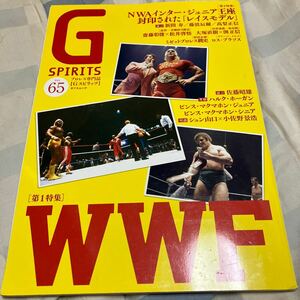 プロレス専門誌「Gスピリッツ」vol.65、WWF、藤波辰爾