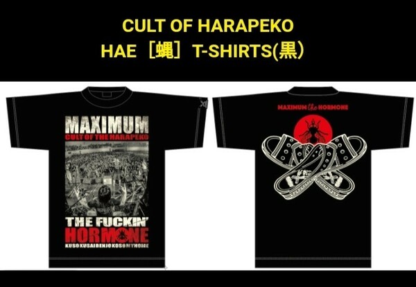 即決送料込●マキシマムザホルモン/ cult of HARAPEKO hae 蠅Tシャツ/Sサイズ/未使用未開封 検)マンウィズ/ELLEGARDEN/MAN WITH A MISSION