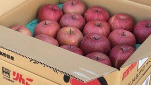  Aomori prefecture production moreover, Nagano prefecture production sun .. apple approximately 5kg (12~16 sphere go in )