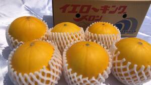  high class yellow King melon preeminence goods M size and more (6~7 sphere )