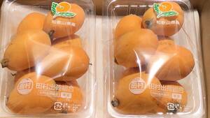  Wakayama Arita distinguished family Tamura loquat 2L and more large sphere 1 box (2 pack ) approximately 16~22 piece insertion 