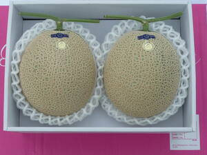  Kochi prefecture production Princess knee na mask melon AA and more 2 sphere (3.4kg and more ) greenhouse melon 