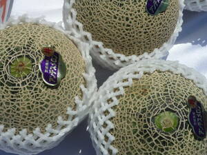  Anne tes melon preeminence goods 3L size and more (3~4 sphere go in ) production ground carefuly selected 