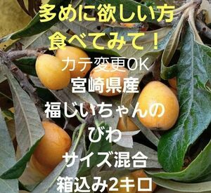 ●カテ変更OK！食べてみて！宮崎県産　福じいちゃんのびわ　サイズ混合　箱込み2キロ