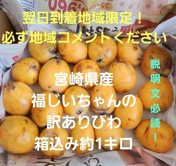 カテ変更OK▲訳あり！▲翌日到着地域限定！宮崎県産　福じいちゃんの訳ありびわ　箱込み約1キロ