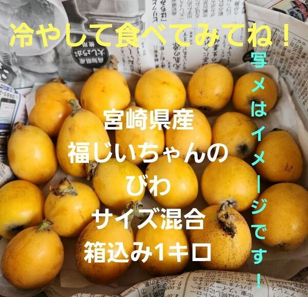 ●一度食べてみてね！宮崎県産　福じいちゃんのびわ　サイズ混合　箱込み約1キロ