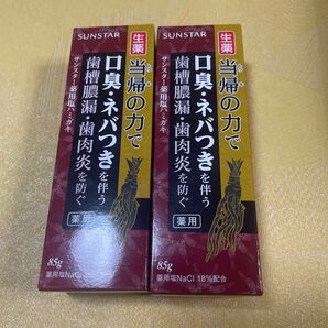 【当帰の力】サンスター薬用塩ハミガキ85g 2本セット