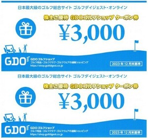 最新★取引ナビ送料無料★GDO ゴルフダイジェスト・オンライン株主優待券 ゴルフショップクーポン券 6000円分(3000円分×2枚) 2024/7/31迄