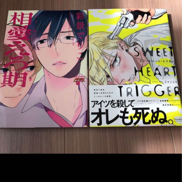 BL blコミック 漫画 相愛えろ期 彩景でりこ スイートハート・トリガー ニャンニャ 送料込み