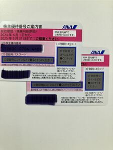 ANA 全日空 株主優待券　2枚　おまけ付き　最新　送料無料　2025年5月31日まで