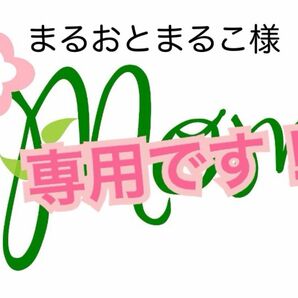 まるおとまるこ様専用　七福神　ポット付き エケベリア 多肉植物