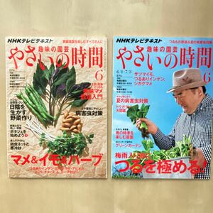 NHKテキスト 趣味の園芸 やさいの時間　2013年2014年　6月号 2冊セット　 NHK出版