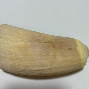 makou whale tooth netsuke 