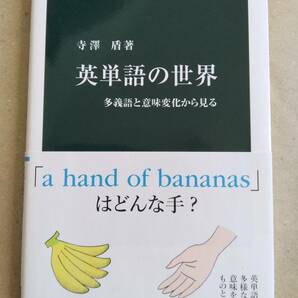 寺澤 盾 英単語の世界 多義語と意味変化から見る 中公新書