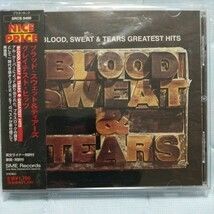 最終処分 ロック創生 BLOOD, SWEAT & TEARS/ブラッド・スウェット&ティアーズ【グレイテスト・ヒッツ】国内盤
