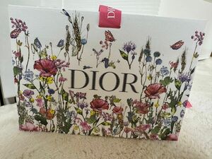 Dior 紙袋　ギフトボックス　限定ショッパー　ディオール スプリング限定