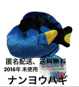 キラキラ　マリンパークぬいぐるみ　ナンヨウハギ