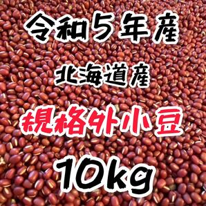 【規格外】 令和5年産 北海道産 小豆 きたのおとめ 10kg 新豆