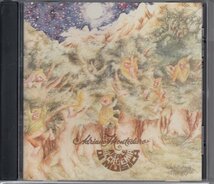 RE ALE ACCADEMIA MUSICA / 森の羊飼いの童話（国内盤CD）_画像1
