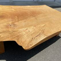 栃　トチ　一枚板　天板　ダイニング　座卓　ローテーブル　テーブル　一枚板テーブル_画像9