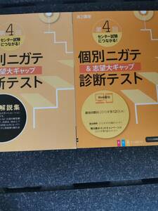 □進研ゼミ　高校講座　高２　個別ニガテ　診断テスト　解答解説集　2015年　国語　数学　英語 