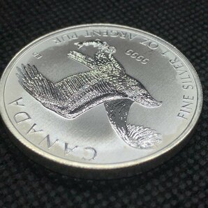 31.1 グラム 2014年 (新品) カナダ「ハクトウワシ・白頭鷲」純銀 1オンス 銀貨の画像5
