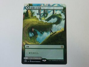 MTG 美品 【枝重なる小道（ボーダーレス）】 （レア） ゼンディカーの夜明け ZNR 日 2枚迄