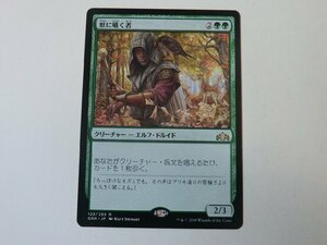 MTG 美品 【獣に囁く者】 （レア） ラヴニカのギルド GRN 日 1枚迄